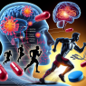L'effet de l'isotrétinoïne sur l'adaptation du corps à une activité physique intense