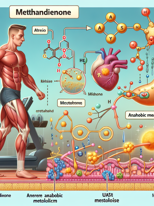 La méthandiénone et son rôle dans la régulation du métabolisme anaérobique La méthandiénone pour stimuler le métabolisme anaérobique des processus cataboliques dans les muscles