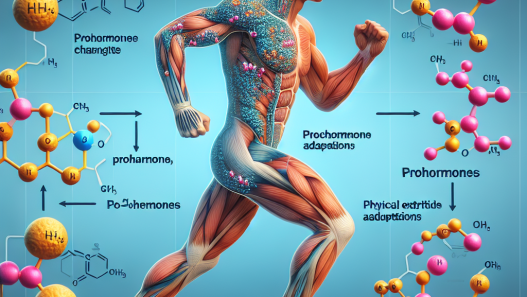 Prohormon et processus d'adaptation à l'effort physique
